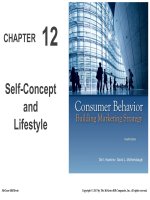 Consumer behavior and marketing strategy 12e hawkins motherbaugh chapter 12