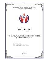 TIEU LUAN PHAP LUAT BAO HIEM THAT NGHIEP