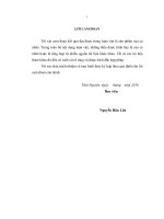 Nghiên cứu giải thuật tối ưu tham số đại số gia tử bằng giải thuật di truyền và ứng dụng 