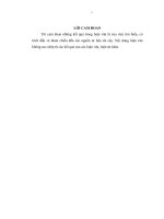 Thuật toán phát hiện phần tử ngoại lai và ứng dụng 