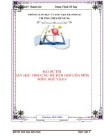 giáo án tích hợp liên môn ngữ văn 9 bài đoàn THUYỀN ĐÁNH cá   