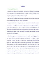 LUẬN án TIẾN sĩ   VAI TRÒ NGÀY CÀNG TĂNG của NHÂN tố TINH THẦN QUÂN đội NHÂN dân VIỆT NAM TRONG bảo vệ tổ QUỐC VIỆT NAM xã hội CHỦ NGHĨA