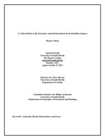 A Critical Study Of The Literature About Deforestation In The Brazilian Amazon - Honors Thesis