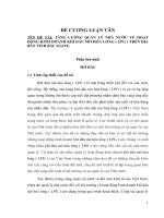 Đề cương sơ bộ