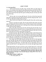 SKKN THCS: Hướng dẫn học sinh lớp 8 nắm vững bản chất vật lý khi giải các bài tập về áp suất chất lỏng tại trường THCS Chu Văn An Huyện Nga Sơn