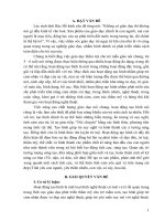 Một số biện pháp nâng cao chất lượng hoạt động tạo hình cho trẻ 5 - 6 tuổi tại trường Mầm non Nga Mỹ”.