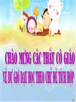 dạy học tích hợp ngự văn 9 bài 15, TIẾT 71 CHIẾC lược NGÀ – nguyễn quang sáng 