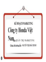 Kế hoạch kinh doanh của công ty HONDA VN