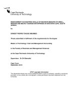Management Accounting Skills Of Decision Makers Of Small, Medium And Micro Tourism Enterprises In Western Cape, South Africa