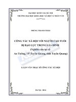 CÔNG TÁC XÃ HỘI VỚI NGƯỜI CAO TUỔI BỊ BẠO LỰC GIA ĐÌNH (NGHIÊN CỨU TẠI XÃ AN TƯỜNG, TP TUYÊN QUANG, TỈNH TUYÊN QUANG)