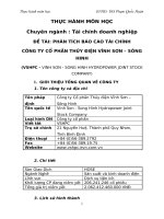 PHÂN TÍCH BÁO CÁO TÀI CHÍNHCÔNG TY CỔ PHẦN THỦY ĐIỆN VĨNH SƠN – SÔNG HINH