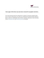 Theorizing accounting and other [calculative] practices in Private Equity: Experimenting with Schatzki’s ‘site’ ontology