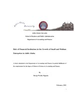 Role of Financial Institutions in the Growth of Small and Medium Enterprises in Addis Ababa