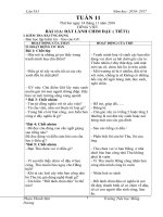 giáo án lớp 5 tuan 11+12 buổi sáng theo mô hình vnen