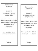 Nghiên cứu, đánh giá khả năng sử dụng biodiesel có nguồn gốc từ dầu hạt cao su cho động cơ tĩnh tại