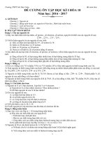 DE CUONG VA DE THAM KHAO HKI HOA 10 