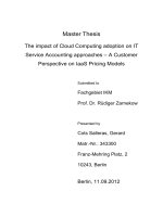 The impact of Cloud Computing adoption on IT Service Accounting approaches – A Customer Perspective on IaaS Pricing Models