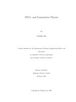 SNO+ and Geoneutrino Physics A thesis submitted to the Department of Physics, Engineering Physics and Astronomy