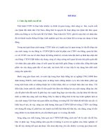 LUẬN án TIẾN sĩ   đổi mới CÔNG tác dân vận QUÂN đội NHÂN dân VIỆT NAM TRONG GIAI đoạn HIỆN NAY THEO tư TƯỞNG hồ CHÍ MINH