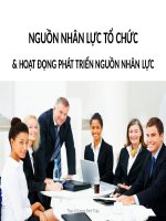 bài giảng đào tạo phát triển nguồn nhân lực trong tổ chức Th.S Dương Đình Thảo