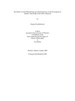 The Effects of Audit Methodology and Audit Experience on the Development of Auditors’ Knowledge of the Client’s Business
