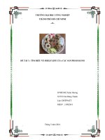 Tìm hiểu về Shelf Life của các sản phẩm bánh