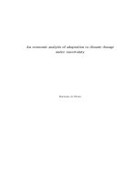 An economic analysis of adaptation to climate change under uncertainty