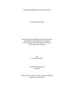 Presented in Partial Fulfillment of the Requirements for graduation with distinction in Economicsin the College of Social and Behavioral Sciencesat The Ohio State University
