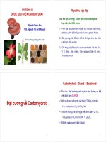 Dược liệu chứa Carbohydrat