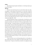 Tiểu luận biện chứng giữa vấn đề dân tộc và vấn đề giai cấp trong tư tưởng HCM (9) 