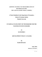 Adoption and Impact of micro Irrigation on Household Income The case of Eastern Tigray