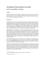 The Application Of Expert Systems In Accounting  David C. Yang and Miklos A. Vasarhelyi