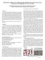 BƯỚC ĐẦU NGHIÊN CỨU THIẾT KẾ HỖN HỢP BÊ TÔNG NHỰA BÁN CỨNG ỨNG DỤNG CẤP PHỐI HỞ VÀ VỮA CẢI TIẾN_TS. Nguyễn Mạnh Tuấn, Ks. Nguyễn Bảo Quốc