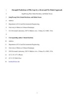 Tính toán khả năng chịu lực của đài cọc (strength prediction of pile cap)