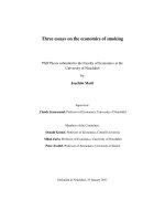 PhD Thesis submitted to the Faculty of Economics at the University of Neuchâtel