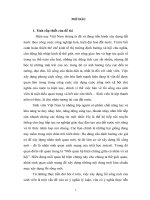 tiểu luận cao học tư tưởng  biện chứng cá nhân   xã hội trong lối sống của sinh viên hiện nay