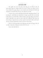 Tiểu luận công cụ lao động và vai trò của nó 