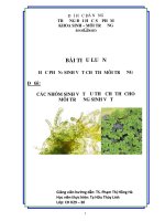 Sinh hoc chi thi MT sinh vat (các nhóm sinh vật ưu thế chỉ thị cho môi trường sinh vật)