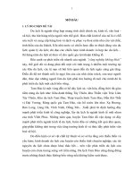 luận văn thạc sĩ  Phát triển du lịch bền vững ở huyện tam đảo tỉnh vĩnh phúc