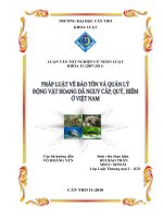 Pháp luật về bảo tồn và quản lý động vật hoang dã nguy cấp, quý, hiếm ở việt nam 