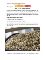 Cách tự chế thuốc trừ sâu sinh học đơn giản