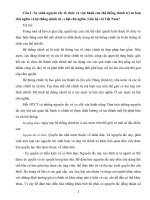 Đề cương hệ thống chính trị đương đại