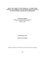 Impact Of Tariff Cuts On Pakistan: A Computable General  Equilirium Analysis With Particular Focus On Main Exports And Regional Disparities