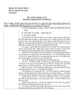 Đề cương môn Thành phố Hồ Chí Minh học