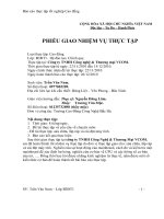 Báo cáo Thực tập tại Công ty TNHH Công nghệ  Thương mại VCOM