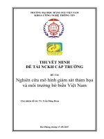 (NCKH) nghiên cứu mô hình giám sát thảm họa và môi trường bờ biển việt nam