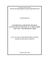 Giải pháp hạn chế rủi ro tín dụng tại ngân hàng TMCP đầu tư và phát triển việt nam chi nhánh bắc ninh 