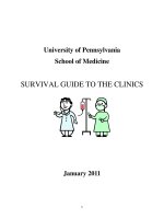 Survival guide to the clineic 