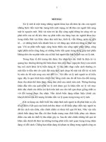 Nắn chỉnh biến dạng hình học và ứng dụng 