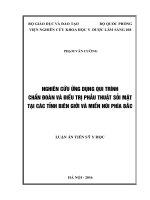 Nghiên cứu ứng dụng quy trình chẩn đoán và điều trị phẫu thuật sỏi mật tại các tỉnh biên giới và miền núi phía Bắc (FULL TEXT)